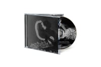 Image 2 of INSONUS - The Will To Nothingness [CD]
