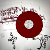 Agnostic Front-The Blame LP
