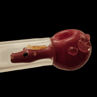 Image 2 of ignis the pony