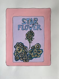Pincushion Variety