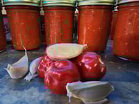 Image 3 of Hot Roasted Habanero & Garlic