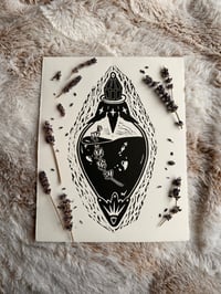 Image 1 of Comphet Antidote