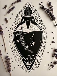 Image 3 of Comphet Antidote