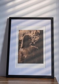 Olive dawn in France