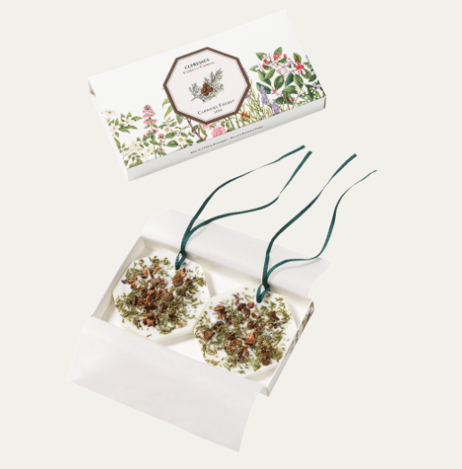 Image of Carrière Frères Wax Tablets (Three Choices!)