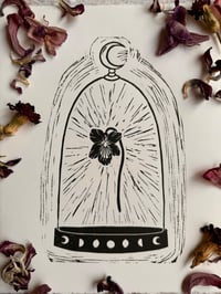 Image 3 of Clocheted