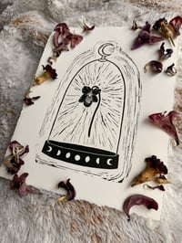 Image 2 of Clocheted