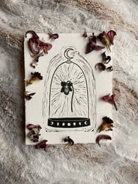 Image 1 of Clocheted