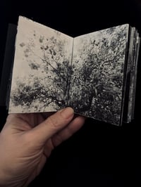 Image 4 of Tutto é sacro / Everything is holy