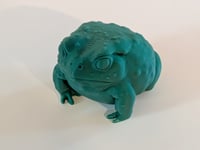 Image 1 of Frog