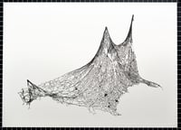 Image 2 of Physics Study I, U.S. Roads Hoist 