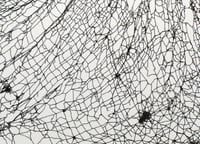 Image 4 of Physics Study I, U.S. Roads Hoist 