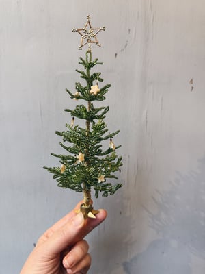 ‘Sparkling green’ perlejuletræ