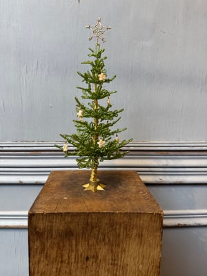 ‘Sparkling green’ perlejuletræ