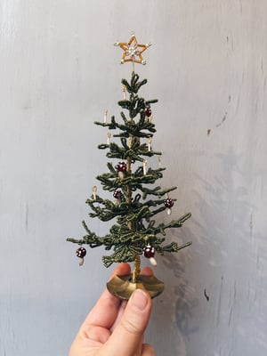 ‘Skov svampe’ perlejuletræ