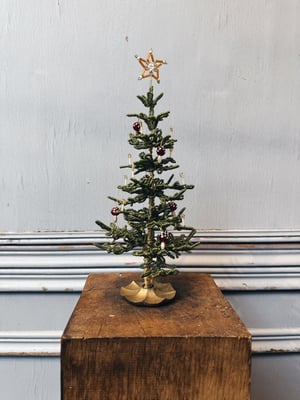 ‘Skov svampe’ perlejuletræ