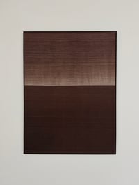 Image 3 of silk composition (laguna) brown/red