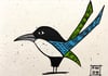 "Marvin the Magpie..." Steve McCracken Original Street Bird...