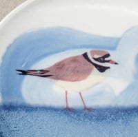 Image 2 of Small Plover Plate