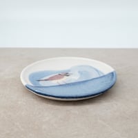 Image 5 of Small Plover Plate