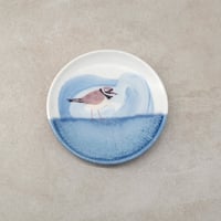 Image 1 of Small Plover Plate