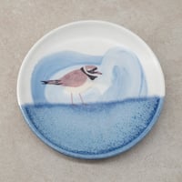Image 6 of Small Plover Plate