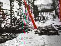 Image 3 of Usine Babcock