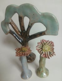 Image 2 of Woodland group 1