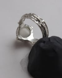 Image 2 of compass ring
