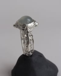 Image 3 of compass ring