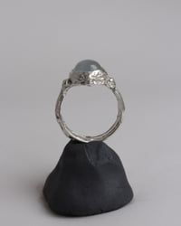 Image 5 of compass ring