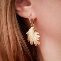 Image 1 of Créoles ALBANE - Or/Argent