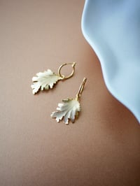 Image 2 of Créoles ALBANE - Or/Argent