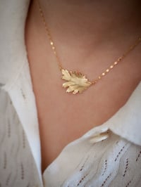 Image 5 of Collier ALBANE