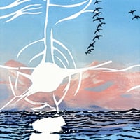 Image 5 of Sea Light Constellations