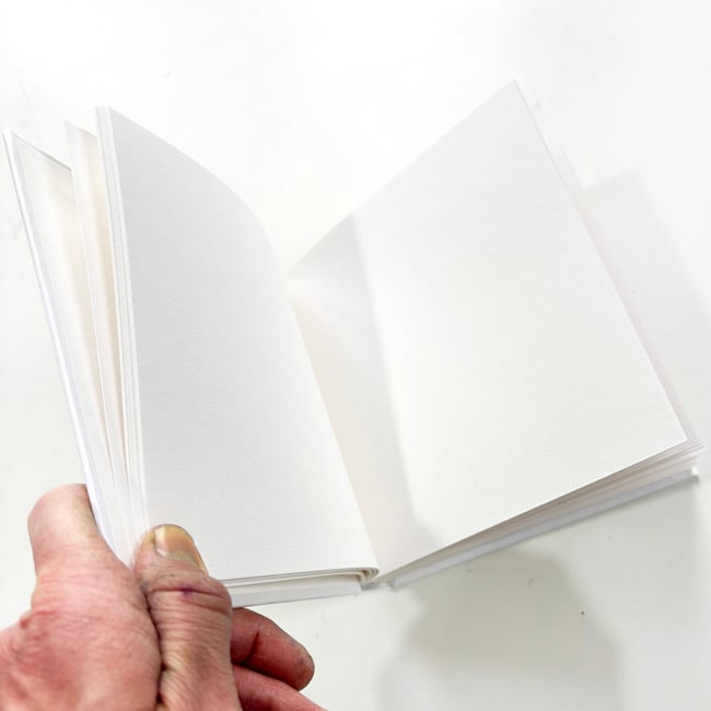 Birds and sun notebook