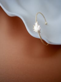 Image 2 of Jonc ALBANE