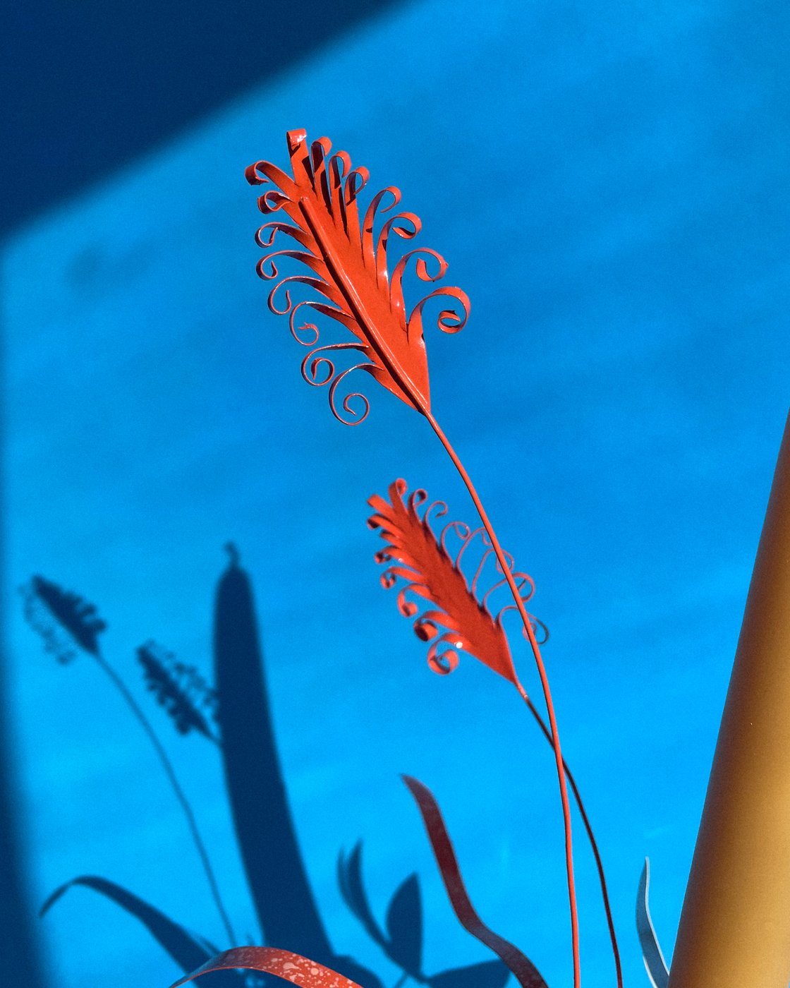 Image of Daisies, Asters & Grass Candelabra — Orange & Pink