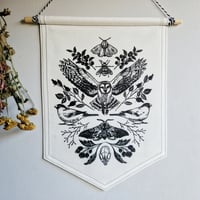 Image 2 of ☆Owl☆