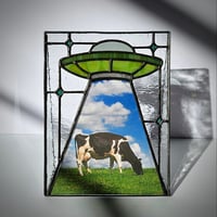 Image 3 of UFO Picture Frame - Watermelon