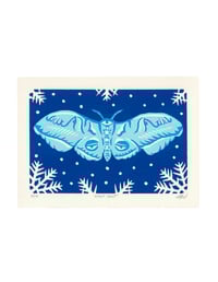 Image 1 of Night Frost