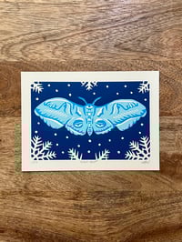 Image 2 of Night Frost