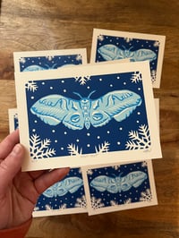 Image 3 of Night Frost