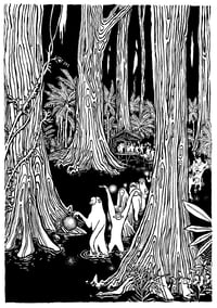 Image 1 of Monkeys Mangroove