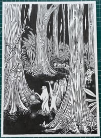 Image 2 of Monkeys Mangroove