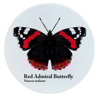 Image 1 of Red Admiral Butterfly Ceramic Coaster - Nature's Delights Collection