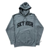 Image of COLLEGIATE LOGO HOODED SWEATSHIRT ATHLETIC HEATHER