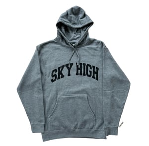 Image of COLLEGIATE LOGO HOODED SWEATSHIRT ATHLETIC HEATHER