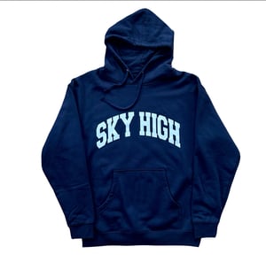 Image of COLLEGIATE LOGO HOODED SWEATSHIRT NAVY