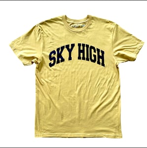 Image of SKY HIGH COLLEGIATE LOGO TEE MUSTARD
